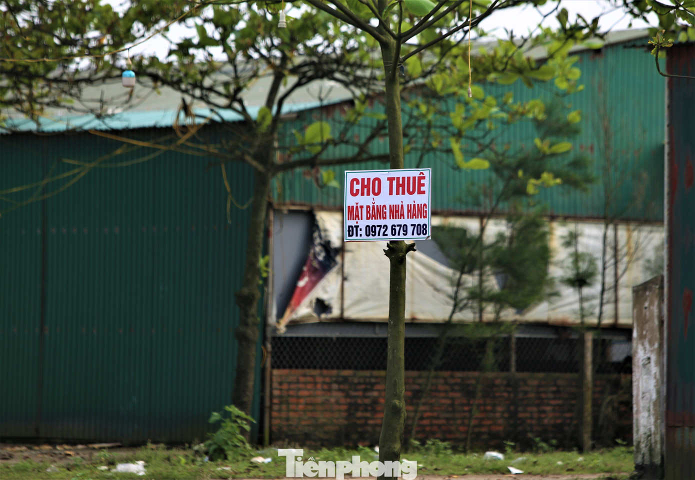 Các nhà hàng tại đây vẫn chưa được đầu tư đúng mức. Bãi tắm và khu vực dọc bãi biển vẫn còn nhếch nhác, cần sớm chỉnh trang.