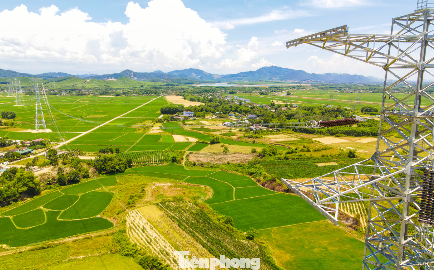 Các sợi dây cáp đã được kéo lên dãy trụ điện qua xã Cẩm Mỹ.