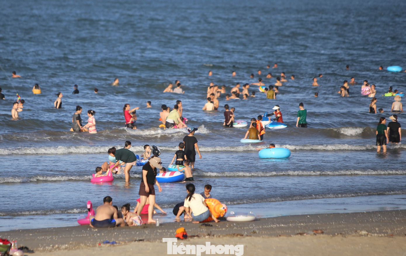 Thỏa thích vui đùa trong làn nước.