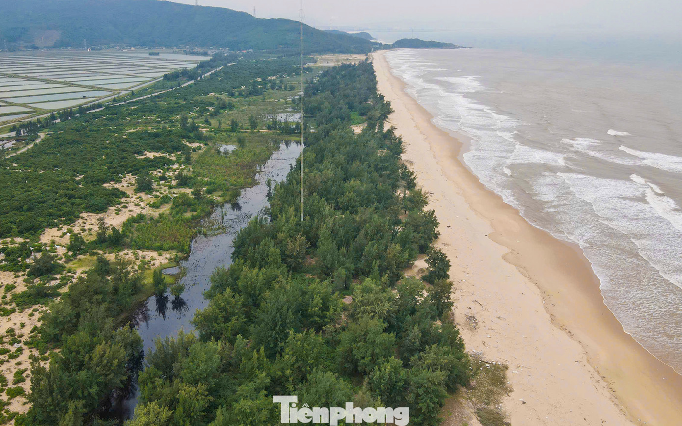 Dọc bờ biển khoảng 1,5km qua thôn Minh Đức, xã Kỳ Nam, thị xã Kỳ Anh (Hà Tĩnh) bao đời nay có rừng phi lao “cổ thụ” xanh ngắt che chắn, bảo vệ. Dọc bờ biển khoảng 1,5km qua thôn Minh Đức, xã Kỳ Nam, thị xã Kỳ Anh (Hà Tĩnh) bao đời nay có rừng phi lao “cổ thụ” xanh ngắt che chắn, bảo vệ.