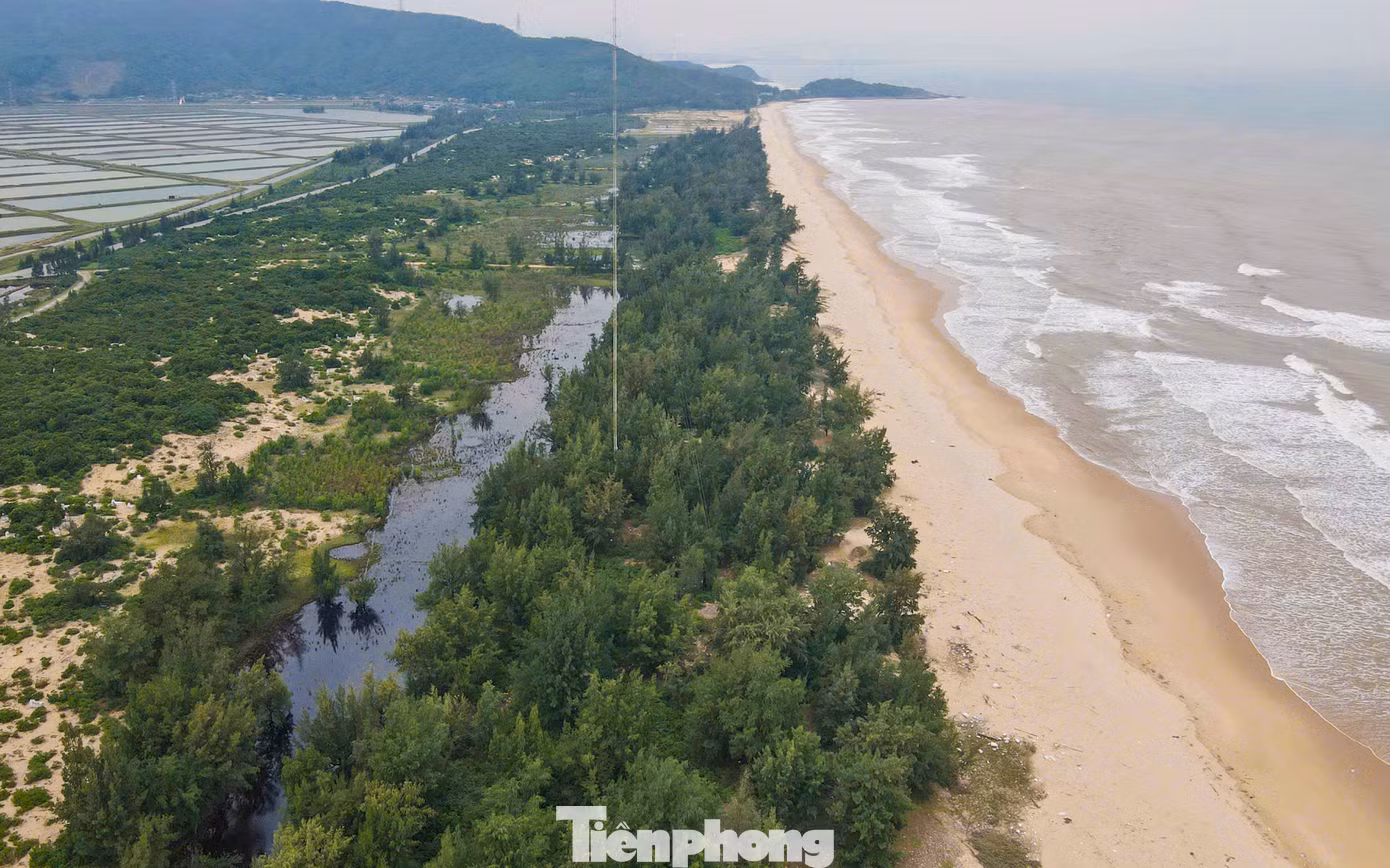 Rừng phi lao ngút ngàn dọc bãi biển Hà Tĩnh.