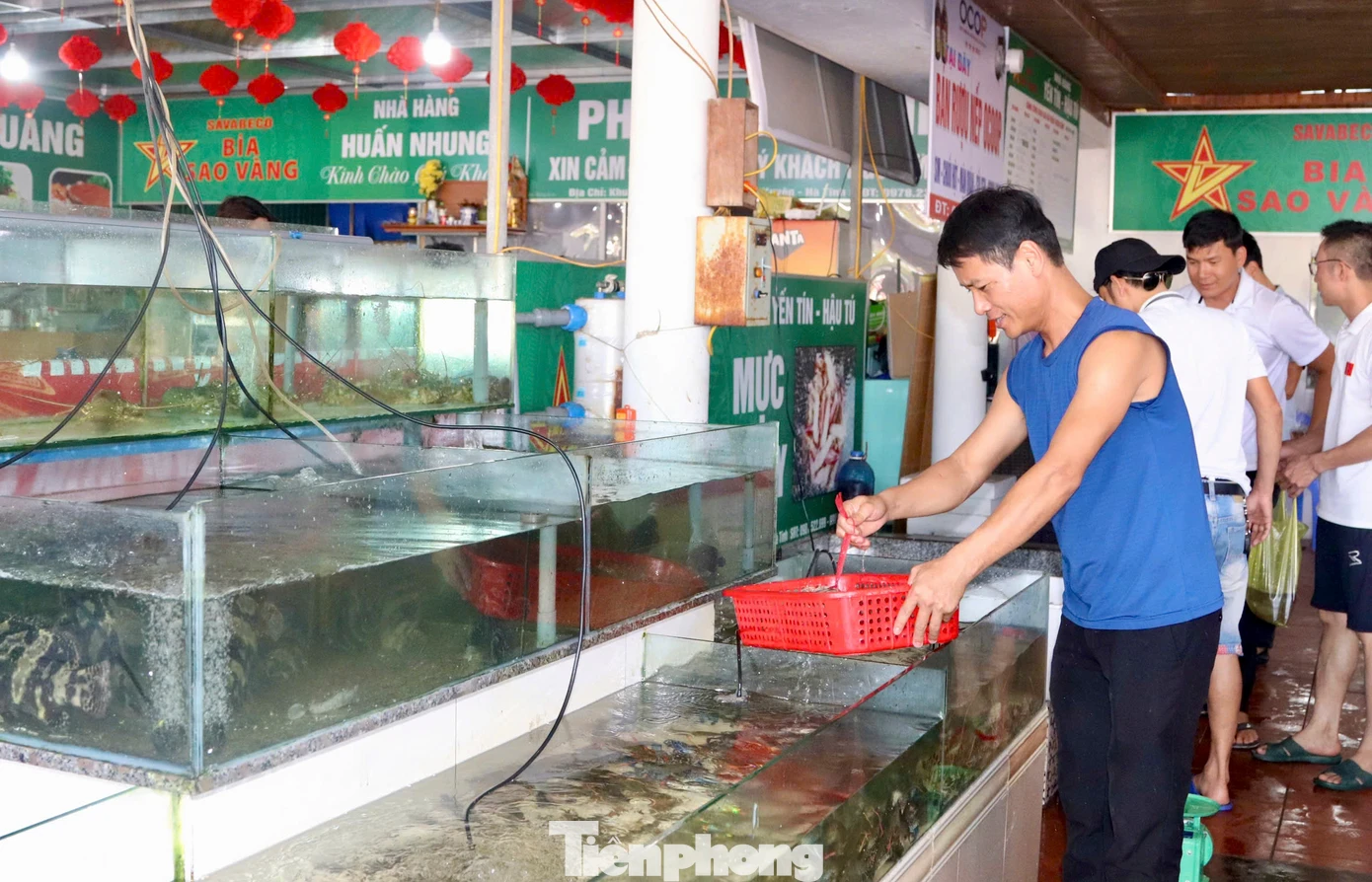 Tại các khu du lịch biển ở Hà Tĩnh, các mặt hàng hải sản tươi sống trên thị trường đang được tiêu thụ mạnh. Giá bán mặt hàng này cũng tăng cao so với ngày thường, đặc biệt là các loại hải sản cao cấp.