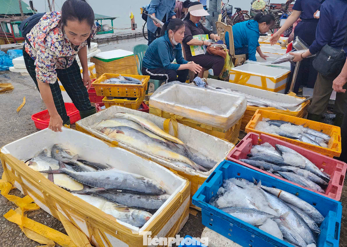 Ông Phan Văn Phú, Phó Phòng điều độ và dịch vụ hậu cần (Ban Quản lý các cảng cá và khu neo đậu tránh trú bão tàu cá Hà Tĩnh), cho biết: Mỗi ngày có hàng trăm lượt tàu thuyền ra - vào các cảng cá ở Hà Tĩnh, chủ yếu là tàu đánh bắt ở vùng lộng, ven bờ. Giá cả các loại hải sản dịp nghỉ lễ cũng tăng khoảng 10-15% so với những ngày bình thường. Sau mỗi chuyến biển, bà con ngư dân có thu nhập kinh tế đáng kể nên rất phấn khởi.