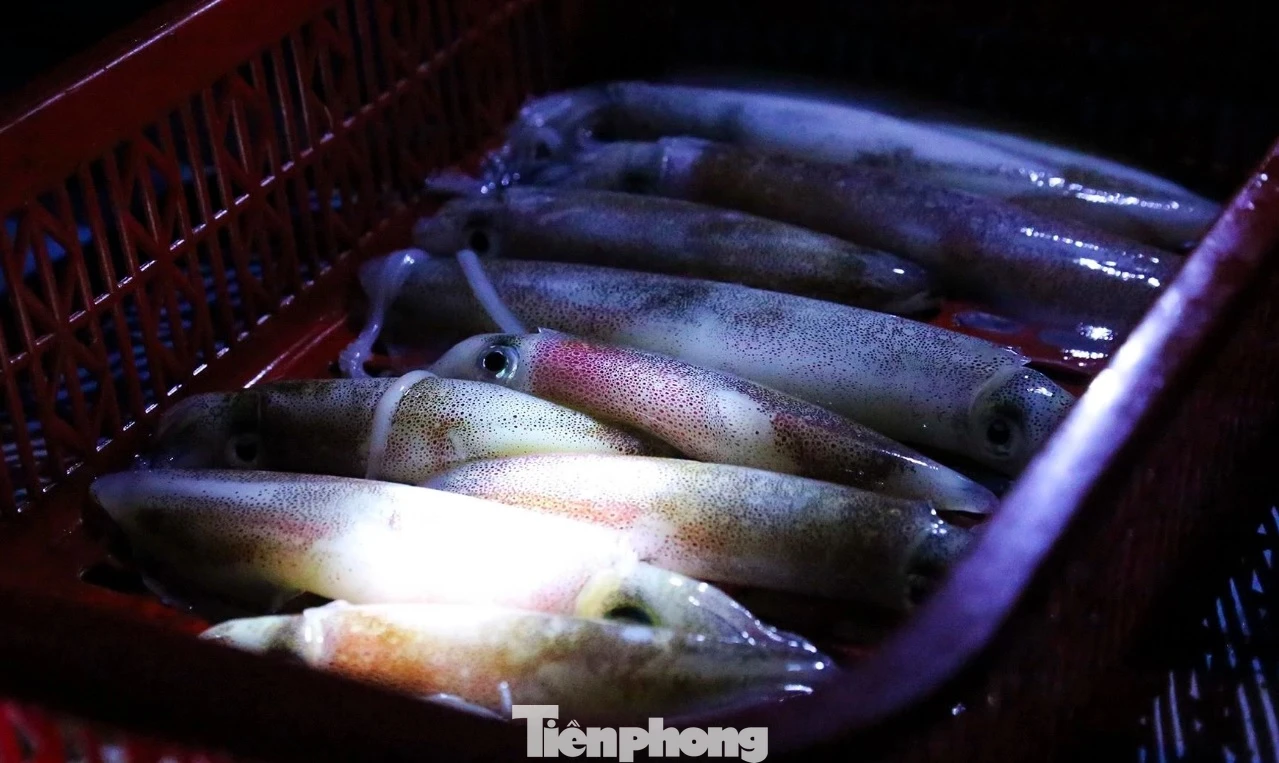 Theo người dân địa phương, dịp này, nhờ thời tiết thuận lợi, ngư dân vươn khơi đánh bắt được số lượng lớn các loại hải sản tươi ngon, chất lượng và có giá trị kinh tế cao như: mực, tôm, cá ngừ, cá thu, cá bớp, cá vược, cá mú, cá trồi, cá chim, cá bè, cá nhồng, cá trích, cá chép, cá bạc má, ghẹ, ốc, sò… Cùng với đó, dịp nghỉ lễ nên khách du lịch về đông, thương lái, nhà hàng cần cung ứng số lượng lớn hải sản, giá cả cũng vì thế tăng cao.