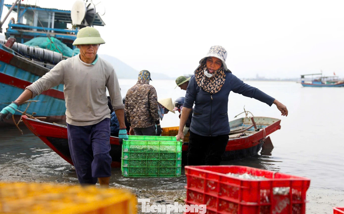 Những khay hải sản tươi ngon như cá, tôm, mực, sò ốc... được đưa về bờ sau ngày đánh bắt.