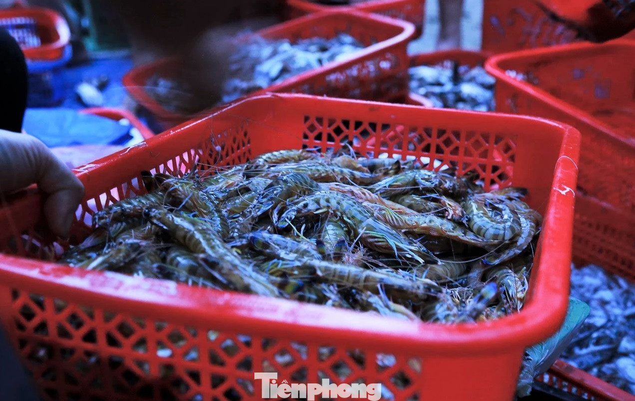 Theo người dân địa phương, dịp này, nhờ thời tiết thuận lợi, ngư dân vươn khơi đánh bắt được số lượng lớn các loại hải sản tươi ngon, chất lượng và có giá trị kinh tế cao như: mực, tôm, cá ngừ, cá thu, cá bớp, cá vược, cá mú, cá trồi, cá chim, cá bè, cá nhồng, cá trích, cá chép, cá bạc má, ghẹ, ốc, sò… Cùng với đó, dịp nghỉ lễ nên khách du lịch về đông, thương lái, nhà hàng cần cung ứng số lượng lớn hải sản, giá cả cũng vì thế tăng cao.