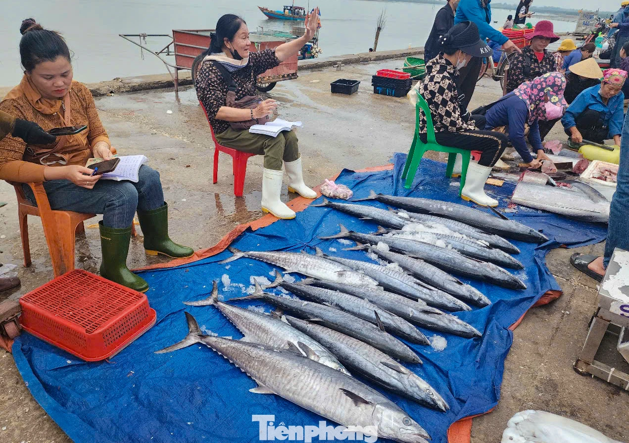 Ông Phan Văn Phú, Phó Phòng điều độ và dịch vụ hậu cần (Ban Quản lý các cảng cá và khu neo đậu tránh trú bão tàu cá Hà Tĩnh), cho biết: Mỗi ngày có hàng trăm lượt tàu thuyền ra - vào các cảng cá ở Hà Tĩnh, chủ yếu là tàu đánh bắt ở vùng lộng, ven bờ. Giá cả các loại hải sản dịp nghỉ lễ cũng tăng khoảng 10-15% so với những ngày bình thường. Sau mỗi chuyến biển, bà con ngư dân có thu nhập kinh tế đáng kể nên rất phấn khởi.
