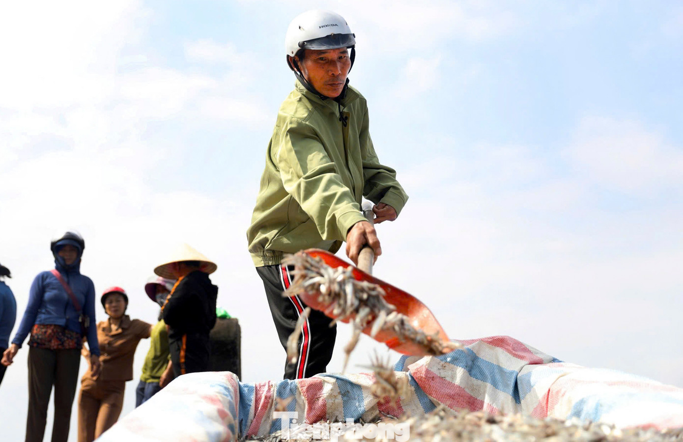 Ngoài hải sản cung ứng cho du khách dịp lễ, ngư dân cũng thu về các loại cá cơm, cá trích, ruốc để ủ nước mắm, làm mắm ruốc.