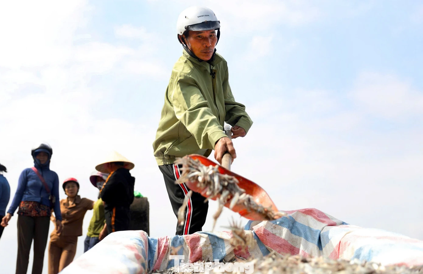 Ngoài hải sản cung ứng cho du khách dịp lễ, ngư dân cũng thu về các loại cá cơm, cá trích, ruốc để ủ nước mắm, làm mắm ruốc.