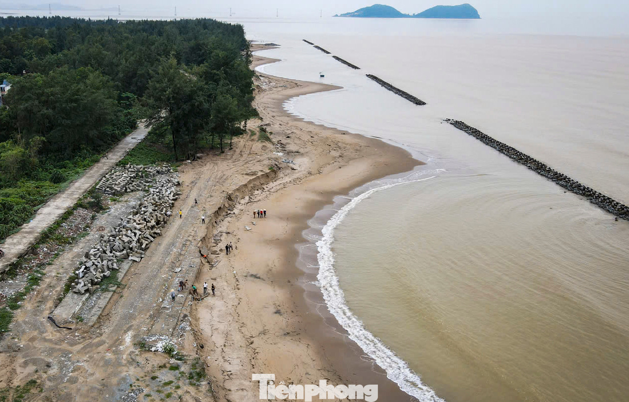 Tuyến đê biển xã Xuân Hội, huyện Nghi Xuân (Hà Tĩnh) có chiều dài khoảng 2 km. Đây là lá chắn bảo vệ cho cả nghìn hộ dân sống trong khu vực.