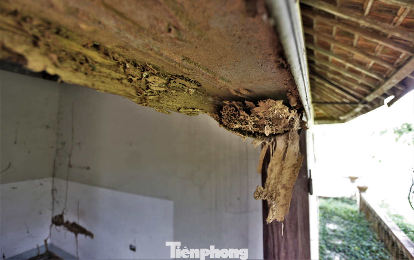 Lãnh đạo UBND thị trấn Nghèn cho biết khu du lịch từng là điểm nhấn của huyện song lâu nay trở nên nhếch nhác do dự án bỏ hoang. Địa phương từng nhiều lần kiến nghị cấp trên sớm tiếp tục dự án hoặc thu hồi, kêu gọi nhà đầu tư khác phát triển vị thế vốn có.