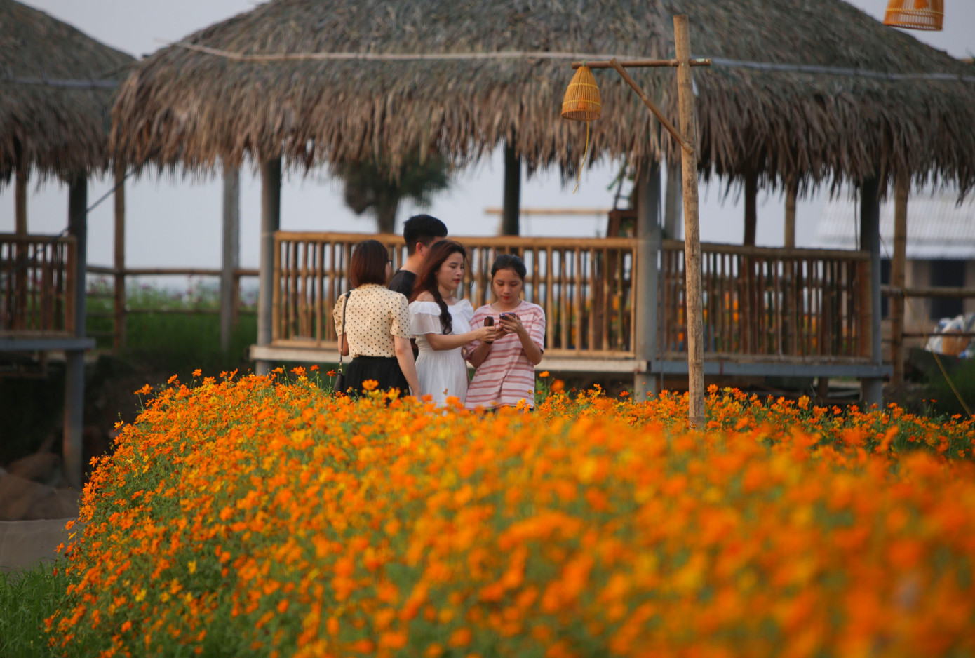 Thay vì chỉ trồng lúa trên các ruộng lúa, người nông dân đã thuê đất, phá bờ, mở rộng theo chính sách tích tụ ruộng đất để vừa trồng lúa, vừa kết hợp nuôi xen canh cá, tôm càng xanh và tạo cảnh quan cho du lịch trải nghiệm. Sau hơn 2 năm, khu vực này từ vùng đất trũng, hay ngập úng và khó canh tác lúa đã trở thành điểm đến cho người dân trong và ngoài tỉnh.