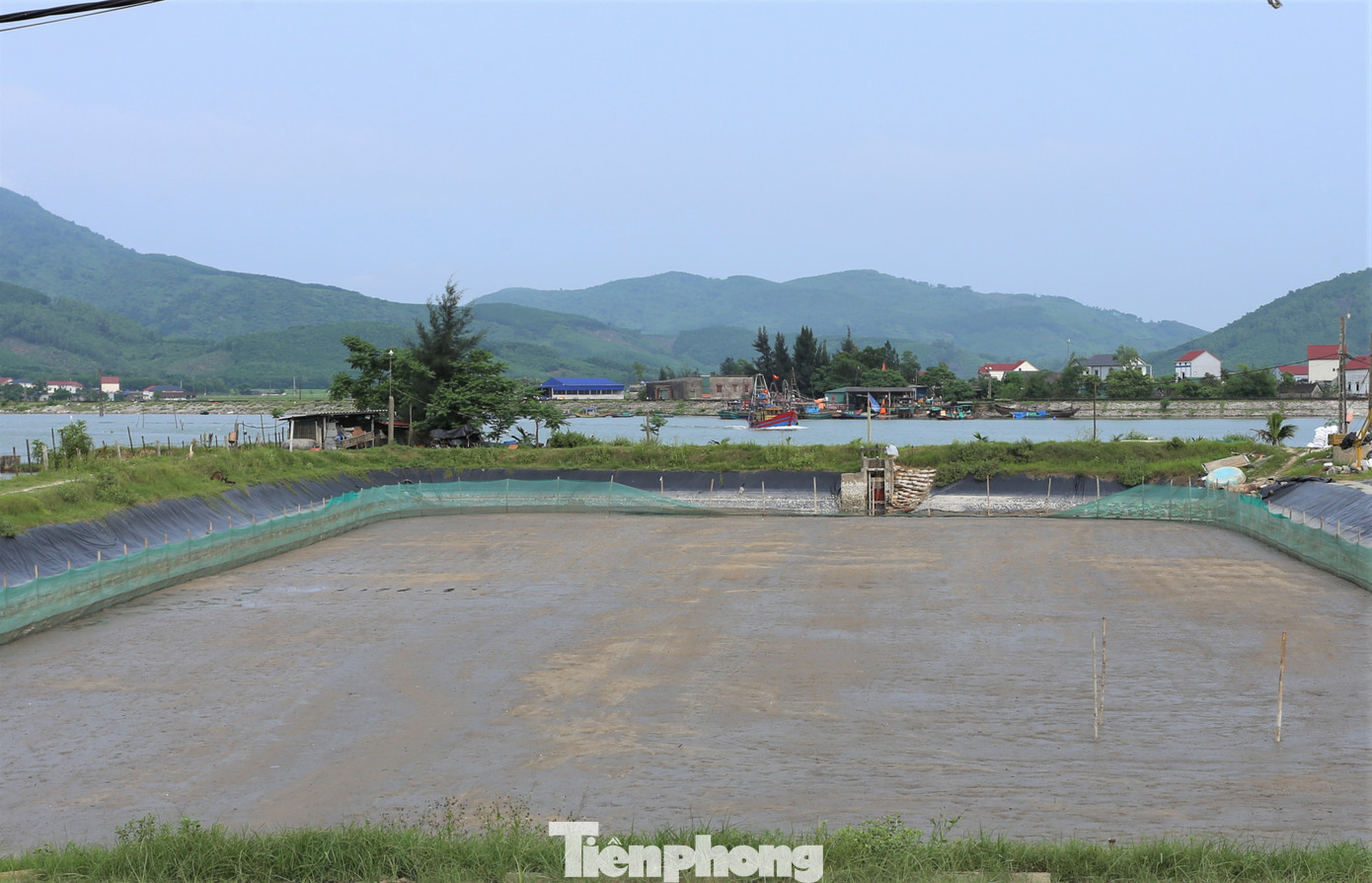 Nhiều ao nuôi phải rút cạn, xử lý sau vụ ốc chết. Người nuôi phải đặt túi đựng chất khử khuẩn Cloramin B để xử lý nước vào ao.