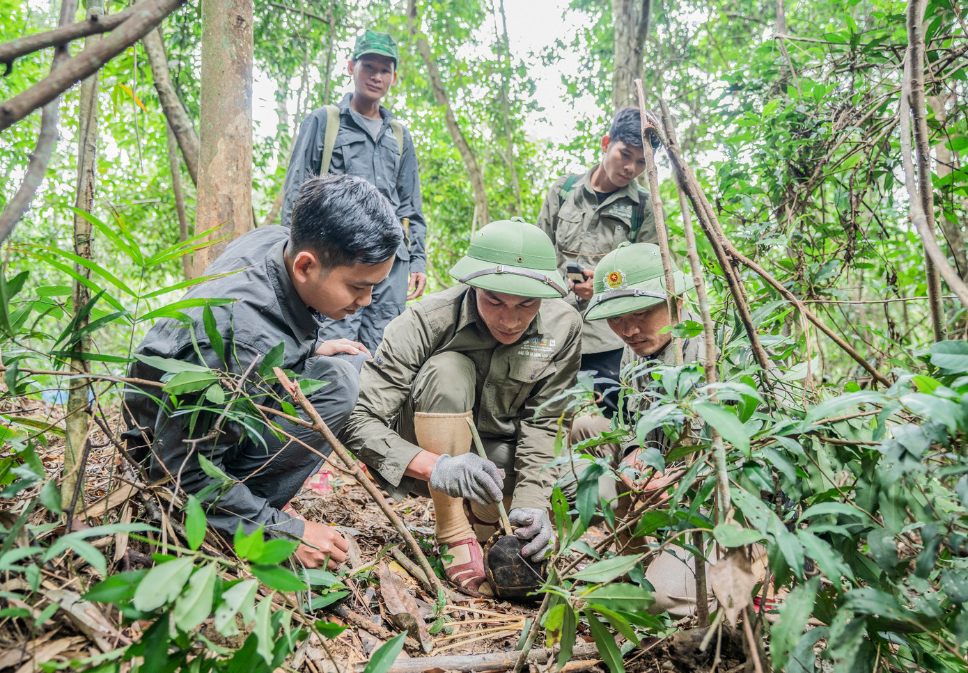 Theo lãnh đạo VQG Vũ Quang, ngoài việc ghi nhận các loài động vật nguy cấp, quý hiếm qua bẫy ảnh, hoạt động tuần tra và tháo gỡ bẫy được tăng cường. Gần đây đã thu được 518 bẫy các loại, phát hiện và phá hủy 8 lán trại trái phép.