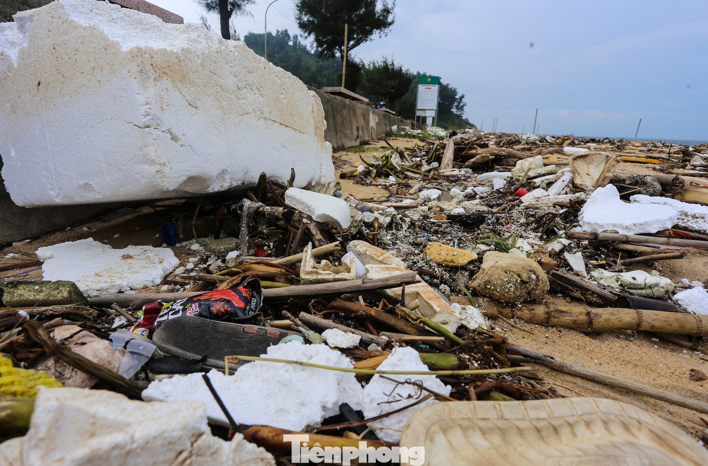 Không chỉ gây ô nhiễm môi trường, mất mỹ quan, nhiều khúc cây lớn bị sóng đánh dạt vào bờ nằm ngổn ngang còn tiềm ẩn nguy hiểm với người dân khi xuống biển.