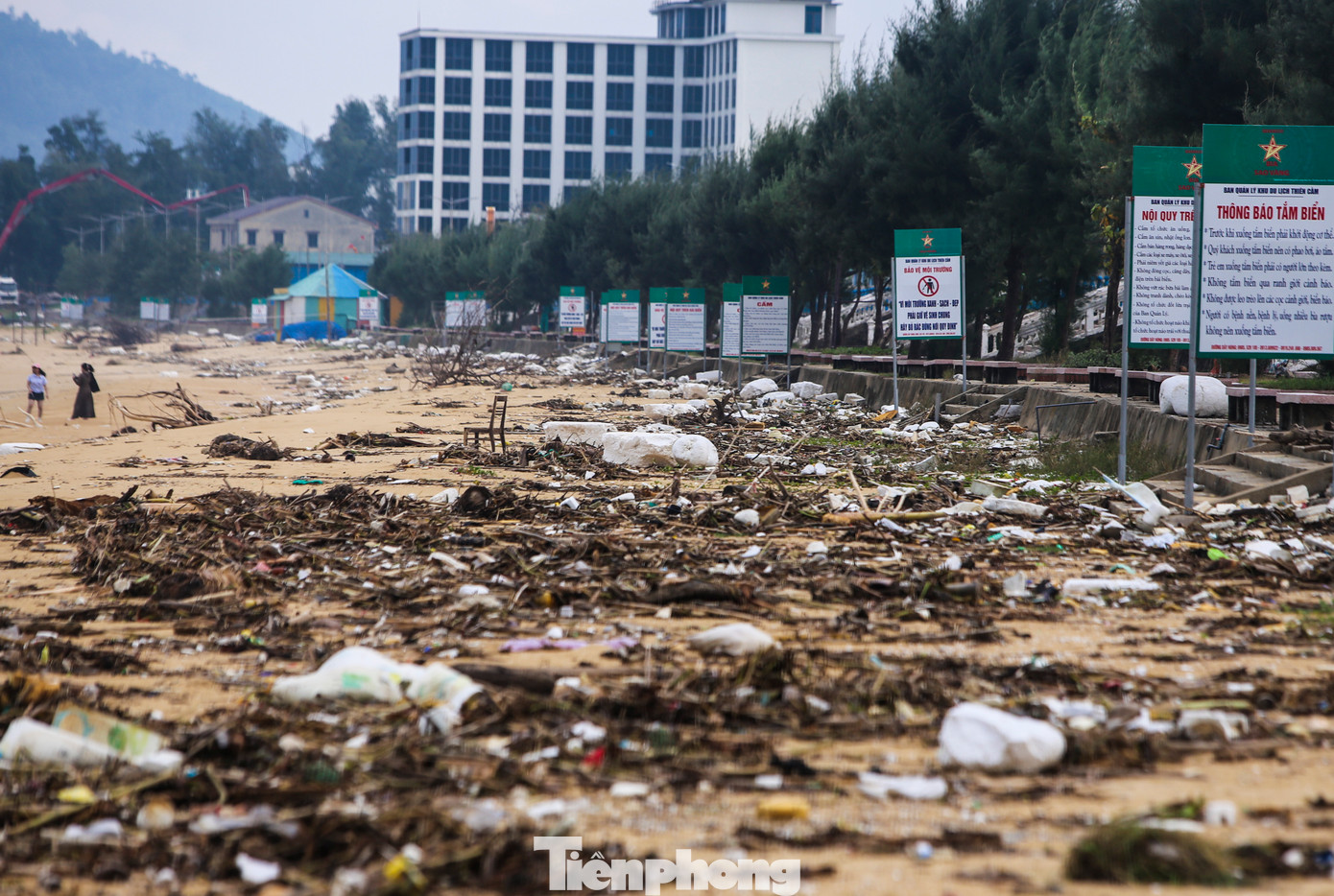 Theo ghi nhận của PV Tiền Phong, các loại rác dạt vào bãi tắm này chủ yếu là gốc cây mục, bèo tây, xốp và vỏ ngao, sò...