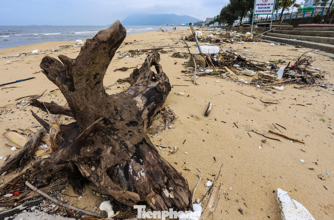 Không chỉ gây ô nhiễm môi trường, mất mỹ quan, nhiều khúc cây lớn bị sóng đánh dạt vào bờ nằm ngổn ngang còn tiềm ẩn nguy hiểm với người dân khi xuống biển.
