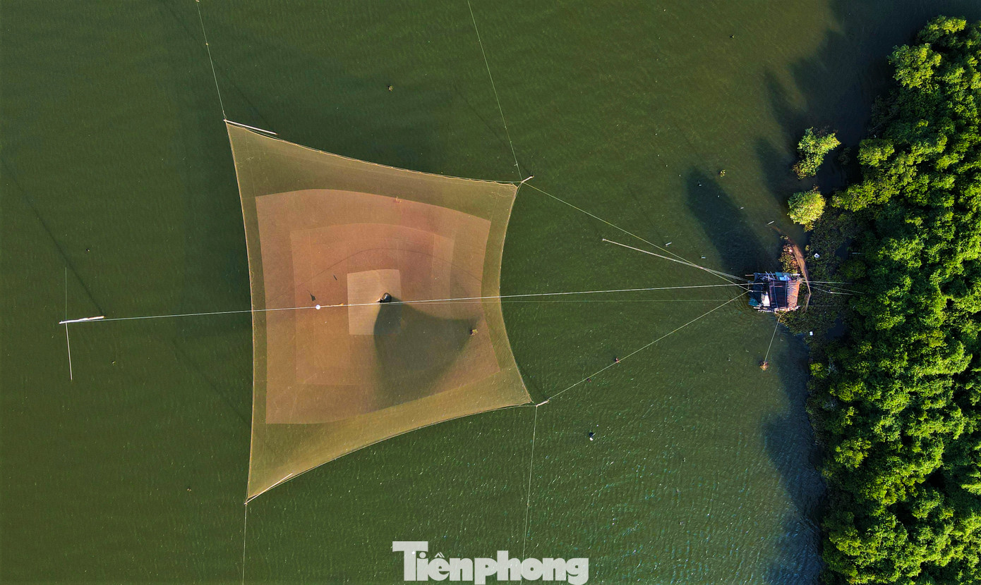 Hệ sinh thái rừng ngập mặn Hà Tĩnh phong phú với nhiều loài động thực vật thuỷ sinh có giá trị kinh tế cao, tập trung phần lớn ở khu vực các cửa sông lớn như Cửa Hội, Cửa Sót, Cửa Nhượng và Cửa Khẩu. Đây còn là nguồn sinh kế cho người dân địa phương.