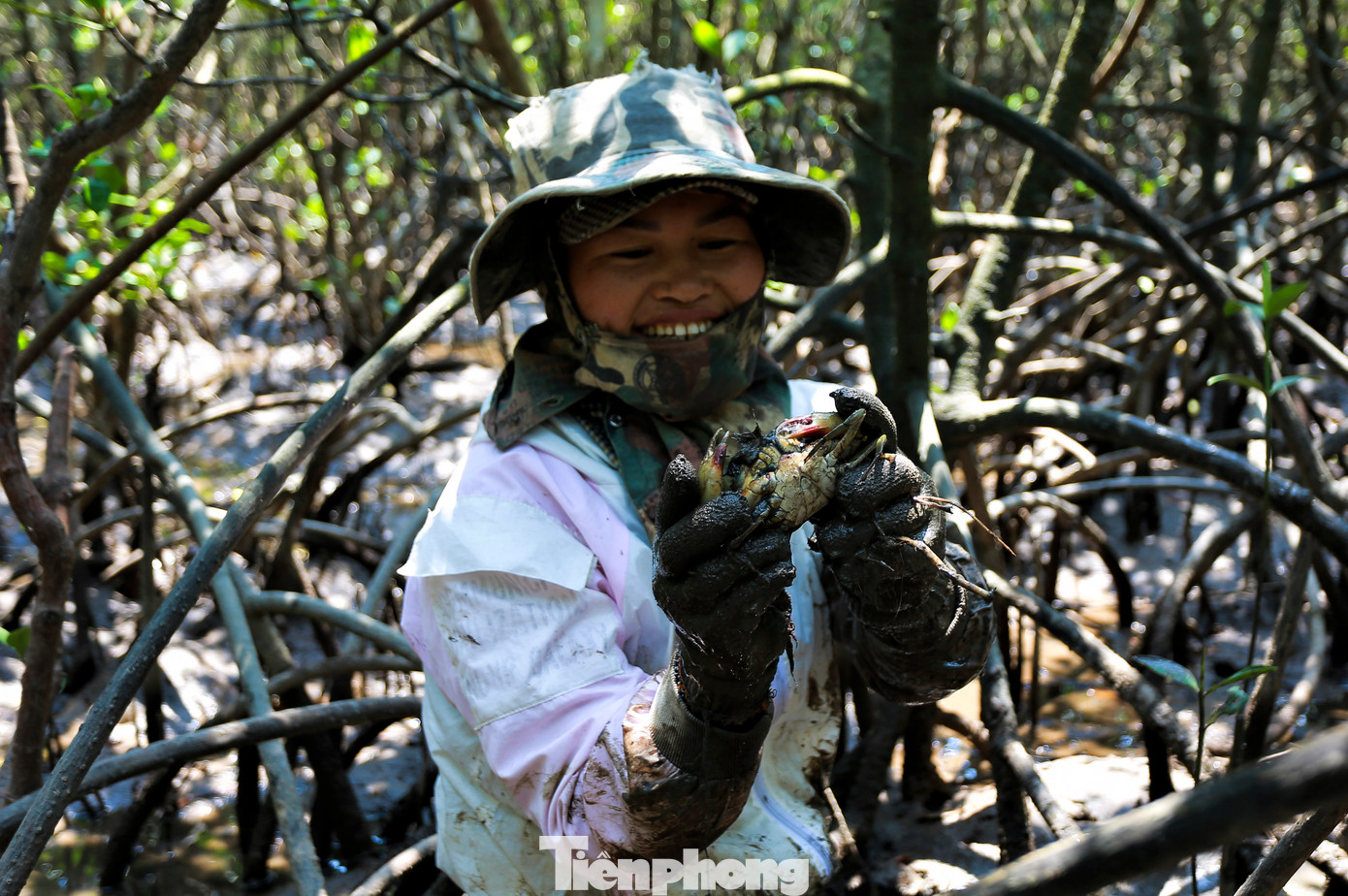 Những phụ nữ len lỏi qua những lớp cây chằng chịt, lặn ngụp trong bùn lầy để săn cua biển.