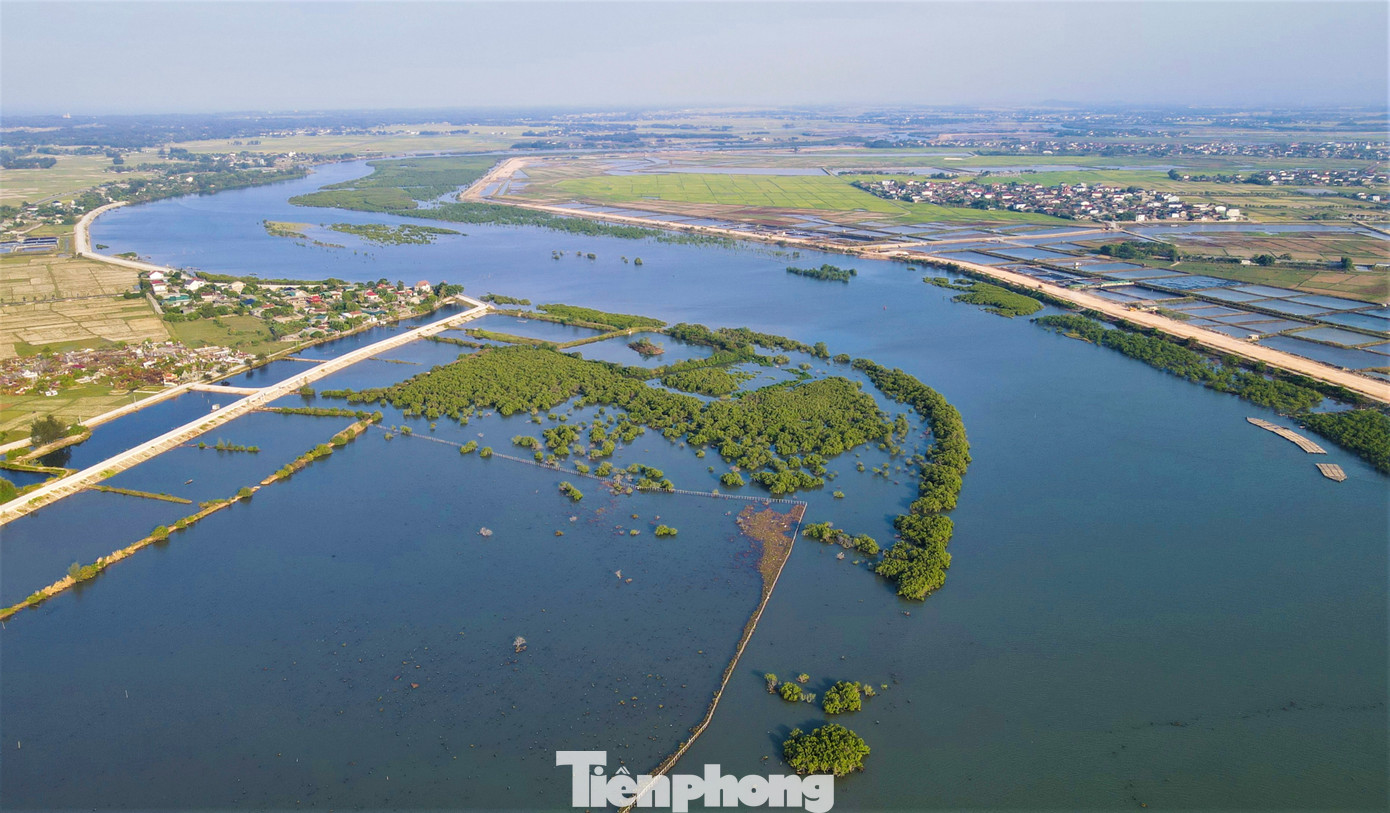 Rừng ngập mặn chủ yếu là các cây mắm, đước, sú vẹt, trang, bần...Ngoài tạo cảnh quan môi trường biển, rừng tránh gió cho tàu thuyền của ngư dân, chắn sóng, triều cường, bảo vệ tuyến đê biển.