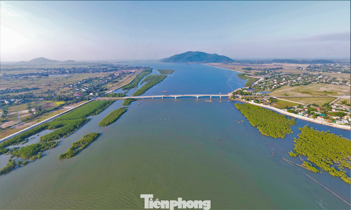 Hệ sinh thái rừng ngập mặn Hà Tĩnh phong phú với nhiều loài động thực vật thuỷ sinh có giá trị kinh tế cao, tập trung phần lớn ở khu vực các cửa sông lớn như Cửa Hội, Cửa Sót, Cửa Nhượng và Cửa Khẩu.