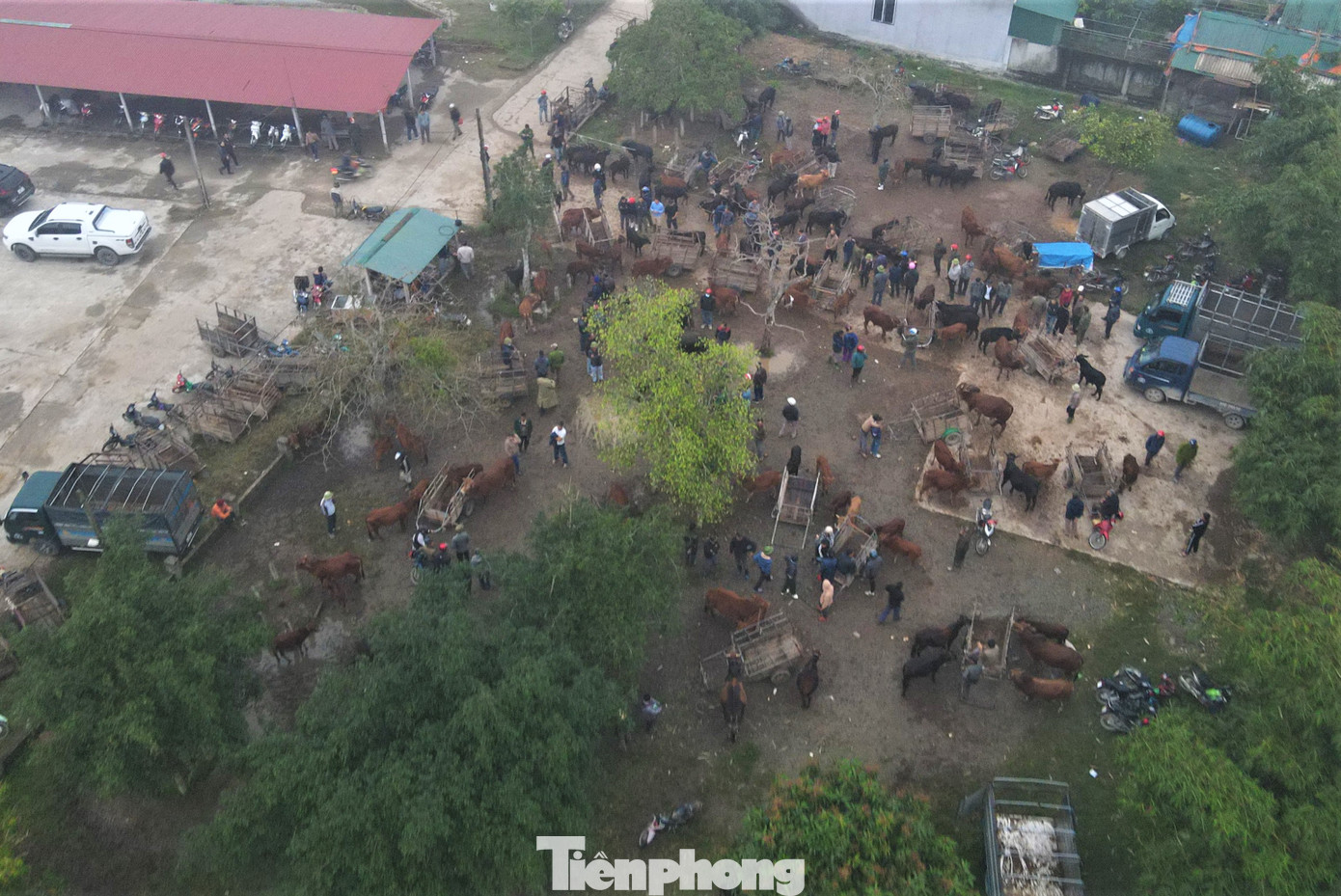 Chợ Nhe tại xã Vĩnh Lộc, huyện Can Lộc, tỉnh Hà Tĩnh được biết đến là phiên chợ mua bán trâu bò lớn nhất tỉnh này. Mỗi tháng chợ họp vào 6 ngày gồm mùng 2, 7, 12, 17, 22, 27 (Âm lịch).