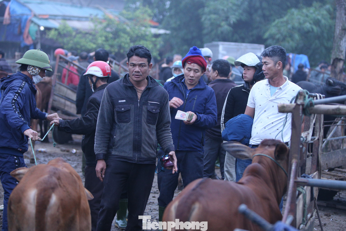 Người mua kẻ bán tụm lại thành từng nhóm, trao đổi giá cả. Việc mua bán diễn ra nhanh chóng, vui vẻ.