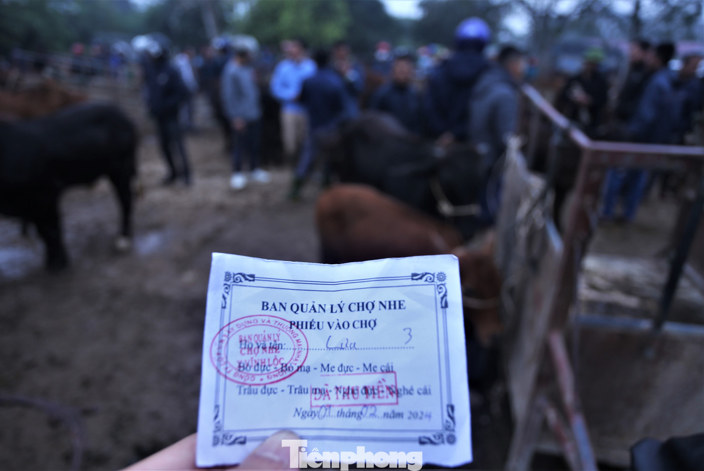 Ban quản lý chợ Nhe cũng làm các phiếu cụ thể để việc kiểm soát số lượng gia súc mua bán cũng như dịch bệnh theo quy định.