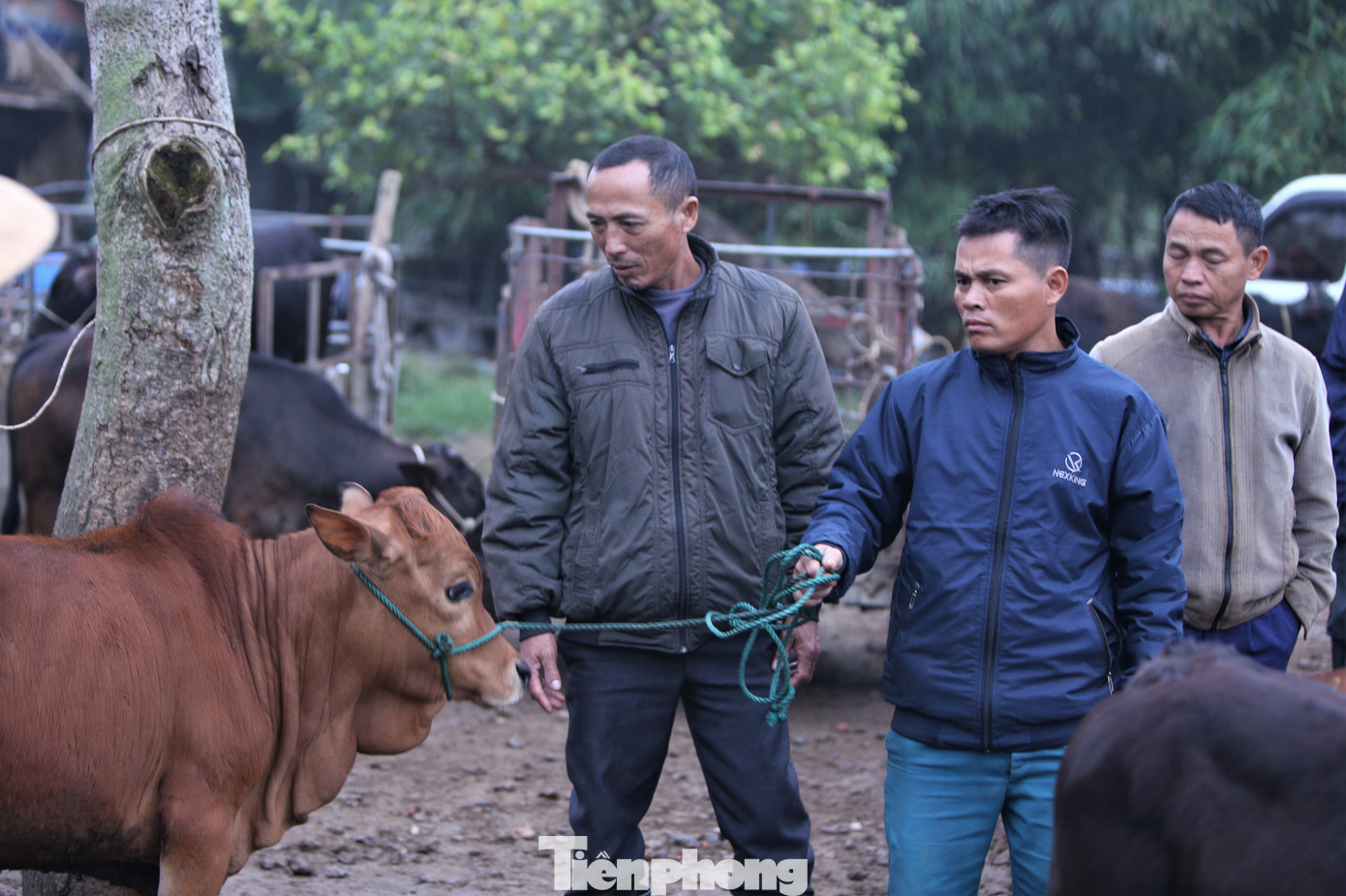 Người mua kẻ bán tụm lại thành từng nhóm, trao đổi giá cả. Việc mua bán diễn ra nhanh chóng, vui vẻ.