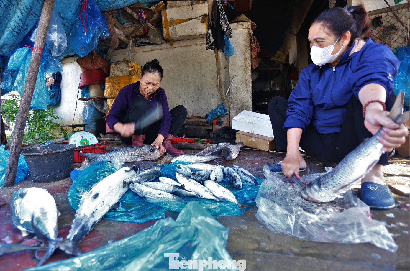 Từ 2h sáng, người dân đã thức dậy, chuẩn bị các công đoạn rã đông, rạch lưng cá và nhóm lò nướng. Việc nướng cá kéo dài đến tối mịt để kịp cung ứng đủ số lượng khách đặt.