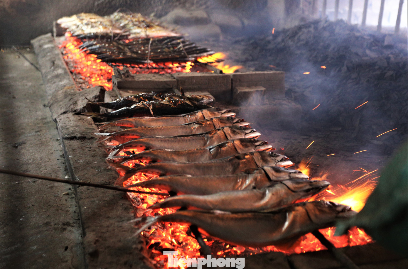 Cá nướng có nhiều loại với đầy đủ kích cỡ. Trong đó, chủ yếu là loại cá thu, cá nục hoa, cá nục chuối, cá bạc má, cá trích, cá cơm, cá đục, cá chim biển…, được đánh bắt ở vùng biển các tỉnh: Thanh Hóa, Nghệ An, Hà Tĩnh, Quảng Bình.