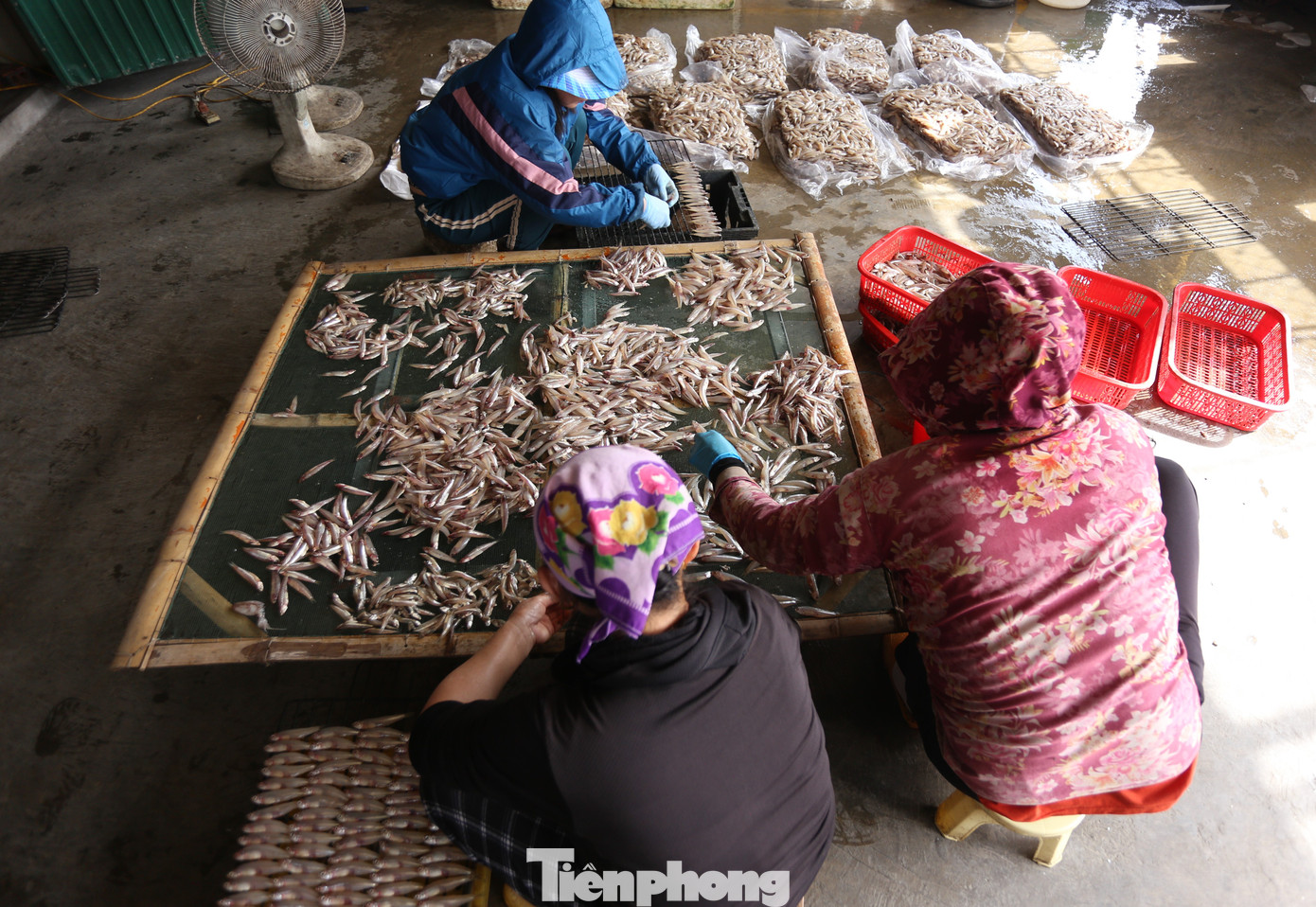 Trung bình mỗi lò tại đây có thể nướng từ 2-3 tạ cá/ngày, tùy số lượng khách đặt, có bao nhiêu nướng bấy nhiêu. Nhất là vào dịp Tết Nguyên đán, cá nướng tiêu thụ số lượng lớn hơn so với những ngày bình thường.