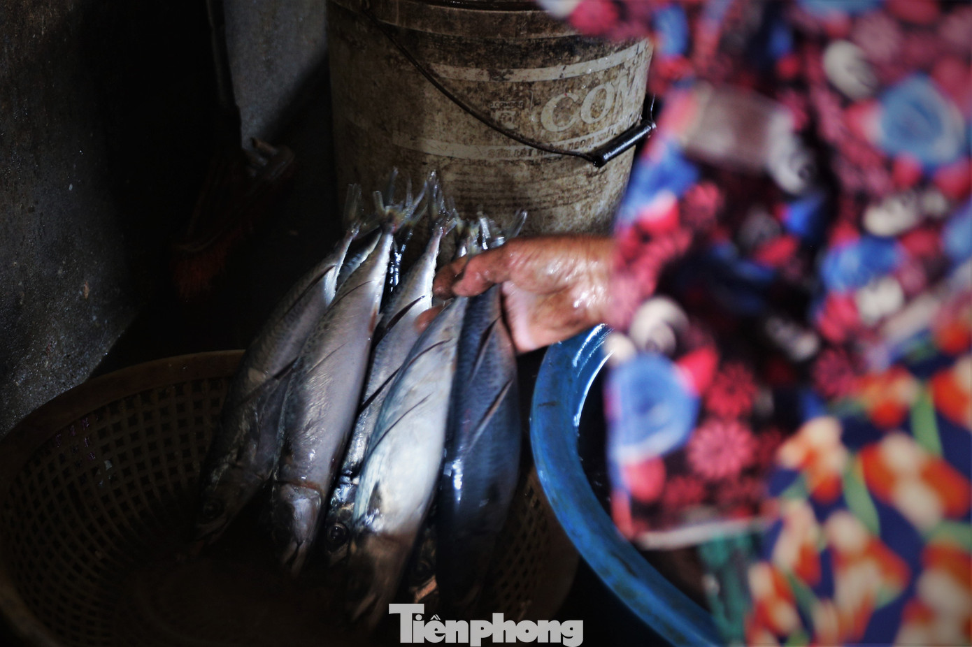 “Ngày Tết người đặt hàng cá nướng sẽ nhiều gấp đôi ngày thường nên ai nấy phải làm liên tục để kịp số lượng khách đặt. Cá nướng ở vùng này thơm ngon, đủ loại kích cỡ với giá bình dân nên được khách ở trong và ngoài tỉnh đặt mua”, bà Thương (58 tuổi) cho hay.