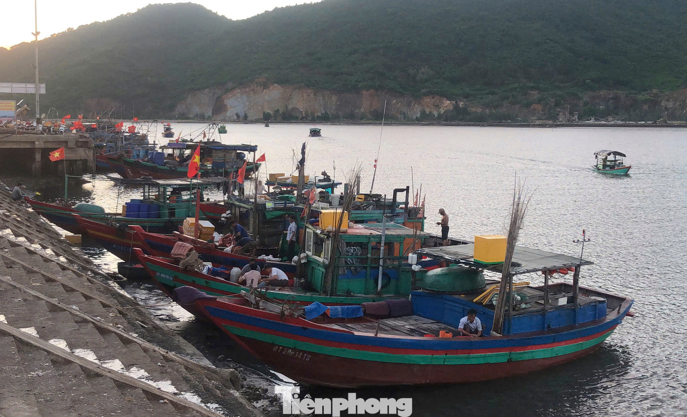 Tại cảng Cửa Sót (xã Thạch Kim, huyện Lộc Hà), nhiều thuyền cũng trúng các loài cá, tôm, mực.