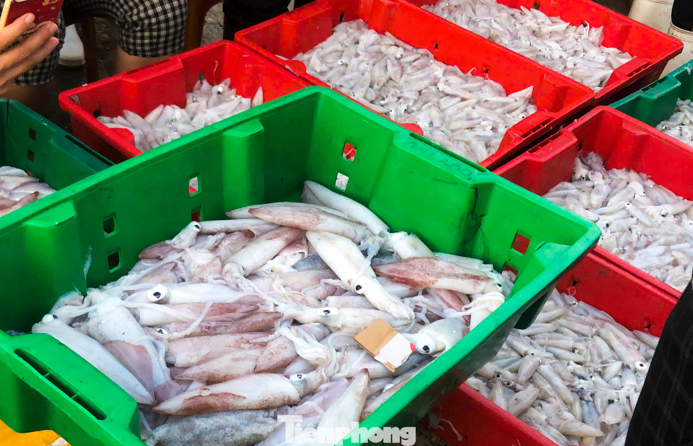 “Hải sản chủ yếu đánh bắt gần bờ bằng thả lưới hay kéo lưới rùng. Cuối năm nên giá tôm, cá tăng cao hơn nên mỗi chuyến biển, trừ chi phí cũng kiếm được tiền triệu”, một ngư dân xã Thạch Kim chia sẻ. Những mẻ mực, cá tươi rói từ các tàu cá được đưa lên bờ, bán cho thương lái.