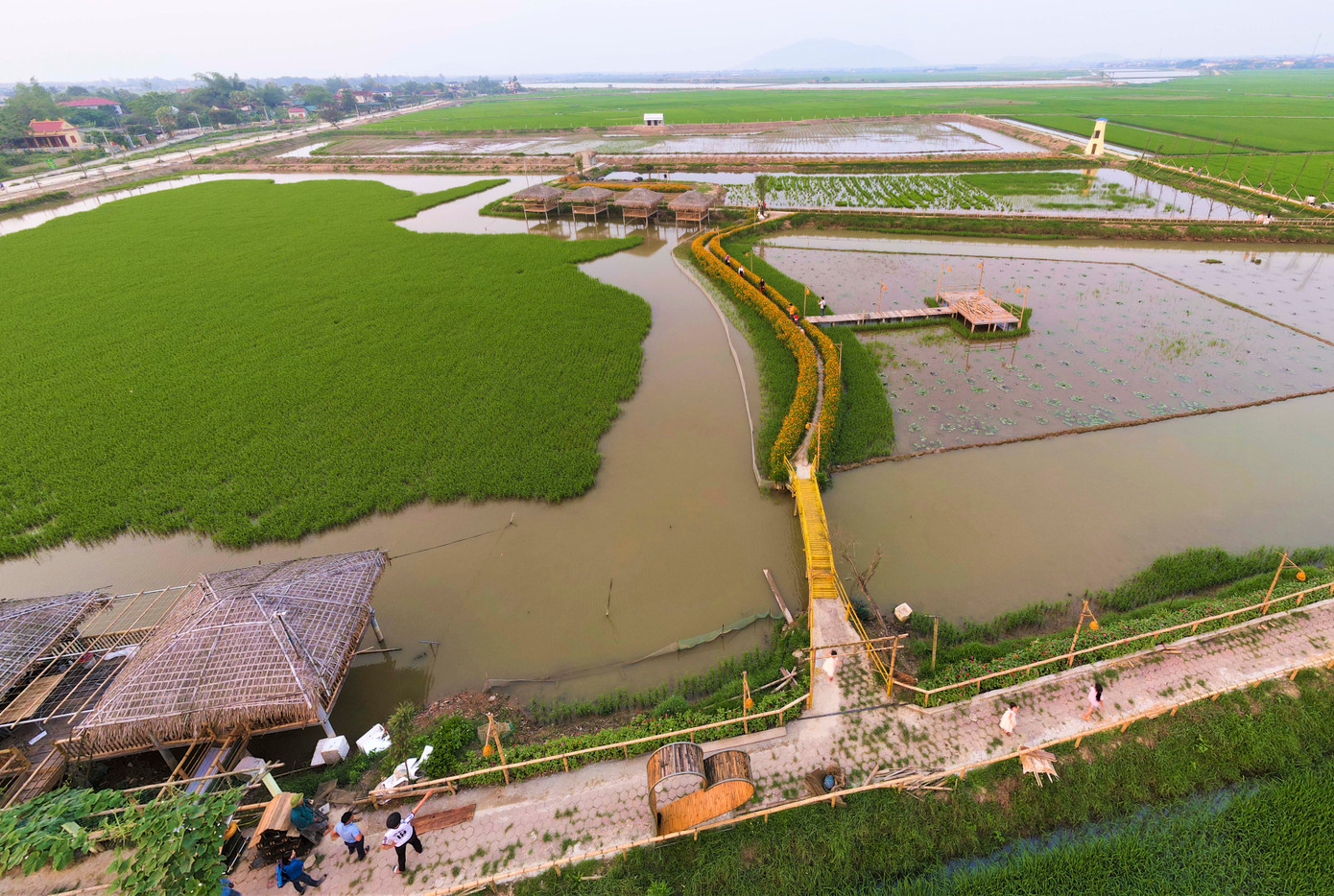 Thay vì chỉ trồng lúa trên các ruộng lúa, người nông dân đã thuê đất, phá bờ, mở rộng theo chính sách tích tụ ruộng đất để vừa trồng lúa, vừa kết hợp nuôi xen canh cá, tôm càng xanh và tạo cảnh quan cho du lịch trải nghiệm. Sau hơn 2 năm, khu vực này từ vùng đất trũng, hay ngập úng và khó canh tác lúa đã trở thành điểm đến cho người dân trong và ngoài tỉnh.