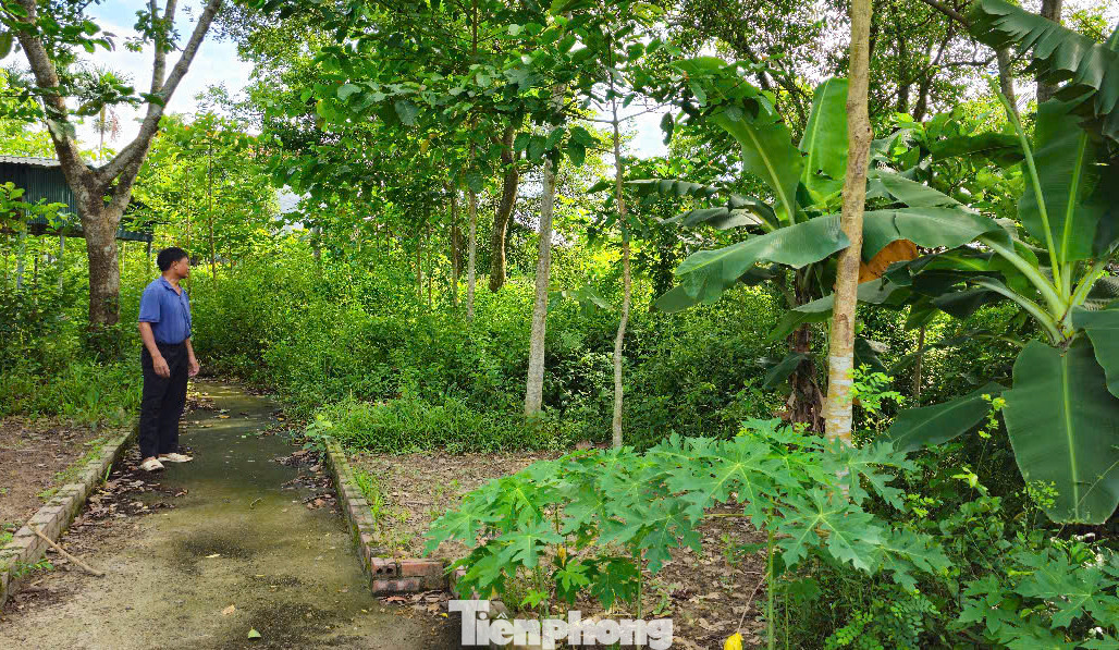 “Mỗi năm chỉ vào dịp đầu xuân hoặc ngày 7-3 (âm lịch) – ngày giỗ danh nhân Hà Tông Mục, con cháu dòng tộc họ Hà mới trở về đền thờ để dâng hương, dọn vệ sinh, nên khuôn viên đền thờ Sùng Chỉ trở nên nhếch nhác, cây cối mọc um tùm”, ông Cần thông tin.