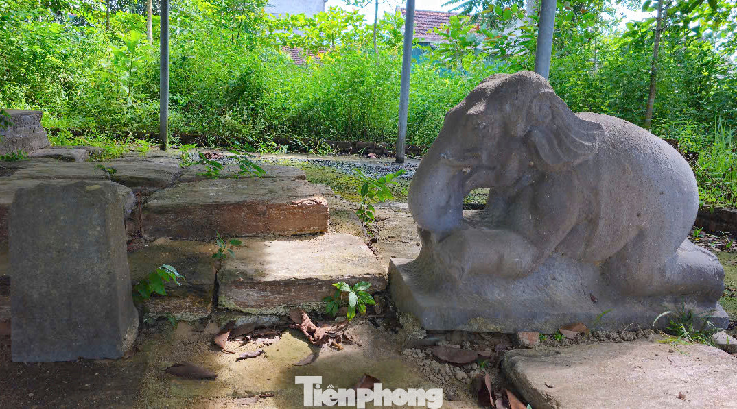 Lãnh đạo UBND xã Tùng Lộc cho biết địa phương đã có văn bản kiến nghị gửi các cấp, ngành sớm có những nguồn hỗ trợ bảo tồn khác để có chi phí duy tu, bảo vệ hằng năm cho bảo vật này. Tuy nhiên, đến nay chưa có nguồn kinh phí hỗ trợ.