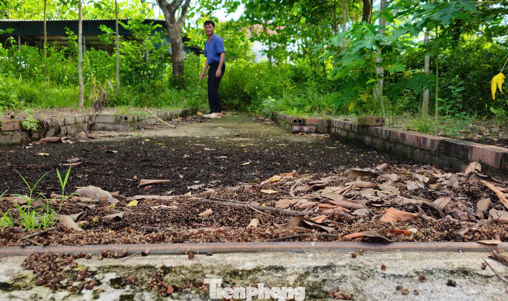 Người trông coi bảo vật quốc gia bia Sùng Chỉ bày tỏ do kinh phí có hạn nên con cháu dòng họ chỉ mới đóng góp làm hệ thống mái che, bảo quản cổ vật, tránh ảnh hưởng của thời tiết. Tuy nhiên, việc bảo tồn, dọn dẹp không được thường xuyên nên nơi bảo vệ báu vật ngày càng xuống cấp. Nơi đây cũng từng có cặp chó đá giữ đền trước đây nay nhưng đã bị kẻ gian lấy trộm.