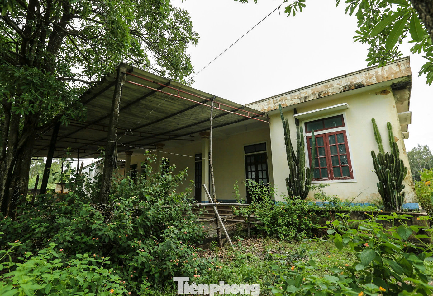 Những năm đầu, Trại nuôi thực nghiệm và sản xuất giống thủy sản chủ yếu nuôi tôm giống trên cát, đã bán thành công một vài lứa; sau đó việc tiêu thụ gặp khó, giá giảm sâu... Đến tháng 9/2015, Trung tâm Khuyến nông Hà Tĩnh ký hợp đồng với đối tác ở nước ngoài cho thuê Trại với thời hạn 5 năm để sản xuất cá mú, cá bơn và một số loại thủy sản có giá trị kinh tế cao, với mục tiêu hướng tới xuất khẩu.