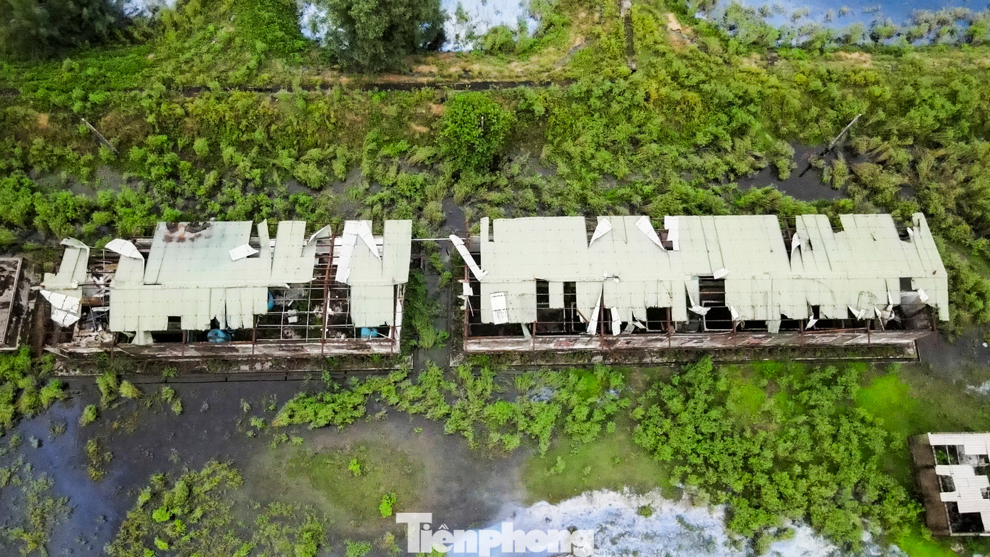 Giám đốc Trung tâm Khuyến nông tỉnh Hà Tĩnh Nguyễn Hữu Ngọc - cho biết, đơn vị đang phối hợp với Sở Tài chính, UBND huyện hoàn tất các thủ tục để bàn giao đất lại cho địa phương.