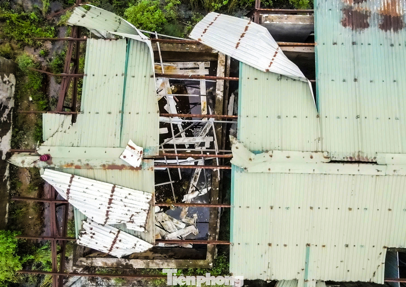 Gần 10 năm qua, trại thực nghiệm không một bóng người qua lại, trở nên hoang tàn, đổ nát. Các hạng mục của khu nuôi thực nghiệm và sản xuất giống nhếch nhác, các vật dụng dùng nuôi thủy sản để chỏng chơ, hệ thống cửa hư hỏng, mái tôn gió thổi bay tung tóe