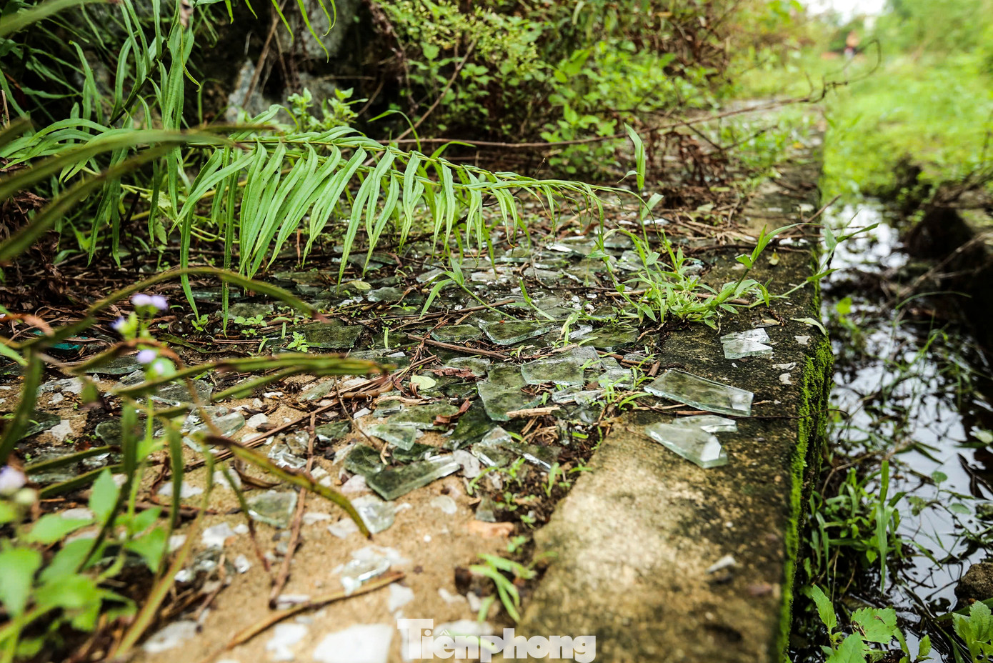 Các hạng mục hư hỏng, xuống cấp, kính vỡ vụn, hệ thống điện hoen gỉ.