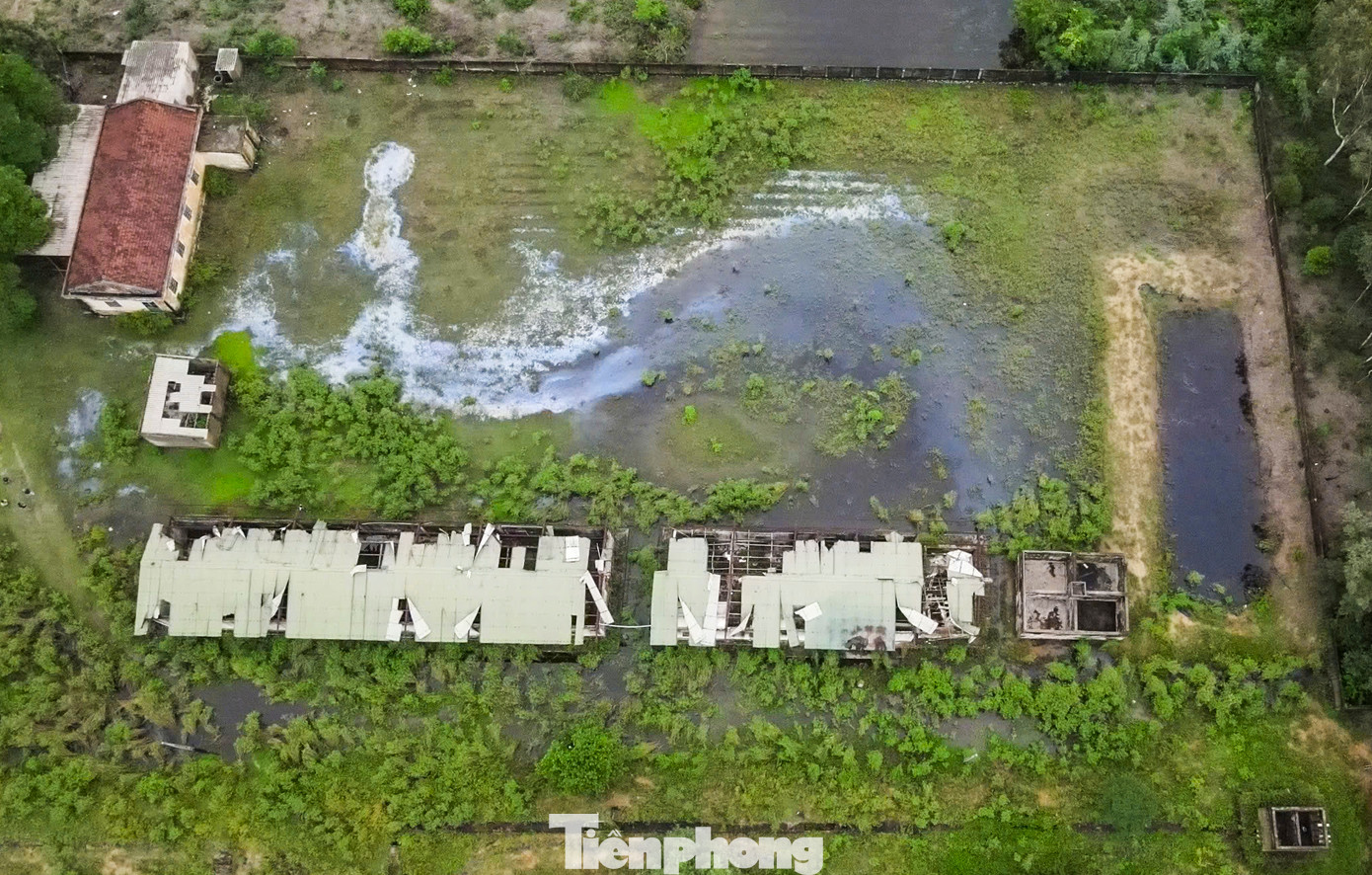 Dự án được xây dựng nhằm nghiên cứu, ứng dụng và chuyển giao công nghệ sản xuất giống thủy sản và tiến hành nuôi thực nghiệm các loại giống gốc, giống mới, kể cả nuôi tôm thực nghiệm trên cát. Công trình có tổng mức đầu tư 8 tỷ đồng do Trung tâm Khuyến nông (Sở NNPTNT tỉnh Hà Tĩnh), gồm các hạng mục: Dãy nhà điều hành, khu nuôi thực nghiệm, khu sản xuất giống, nhà ở cho cán bộ nhân viên...