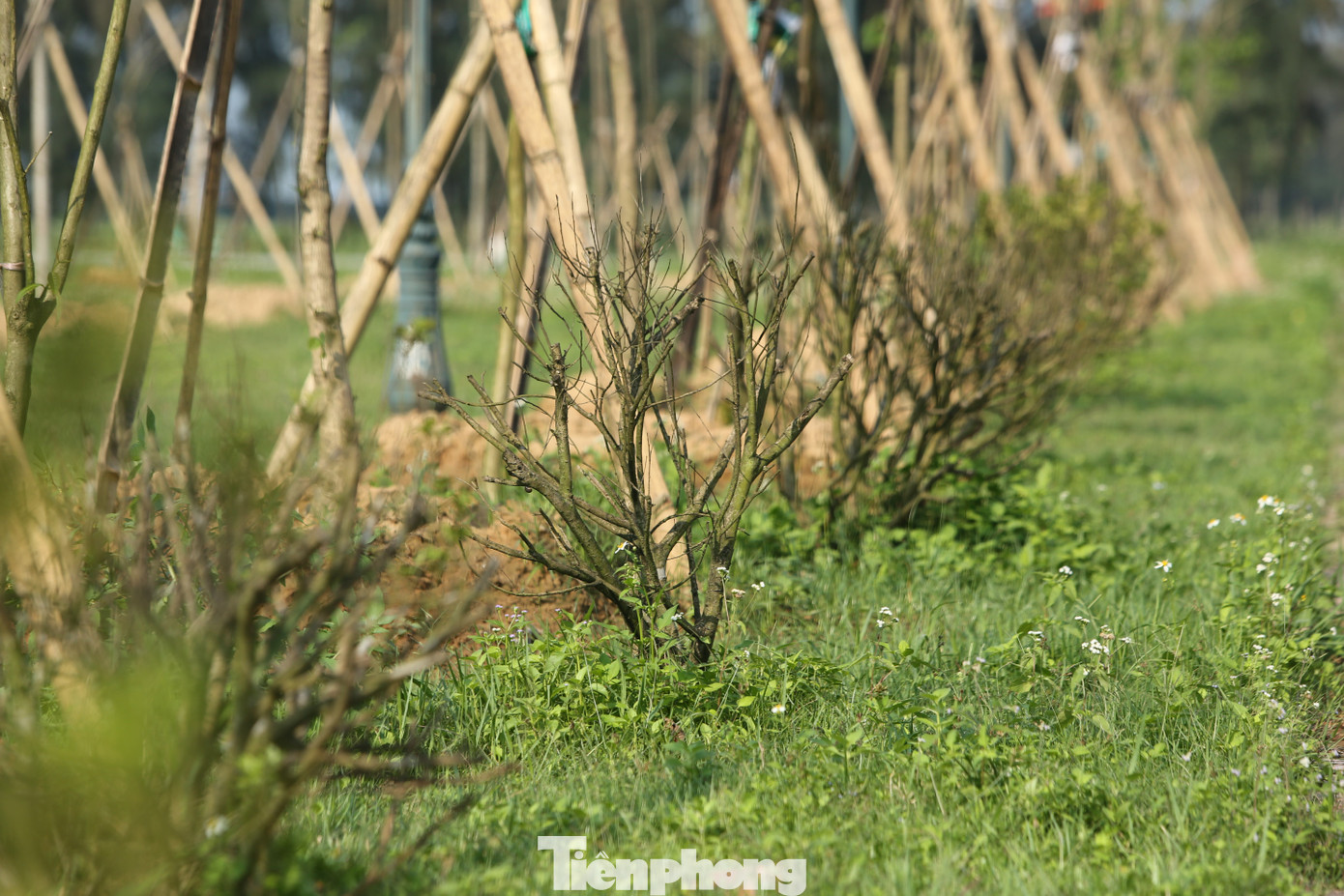 Dù chưa hoàn thiện, bàn giao toàn bộ dự án song nhiều hạng mục đã xuống cấp, hư hỏng.