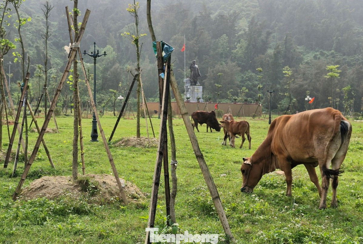 Dù chưa hoàn thiện, bàn giao toàn bộ dự án song nhiều hạng mục đã xuống cấp, hư hỏng.