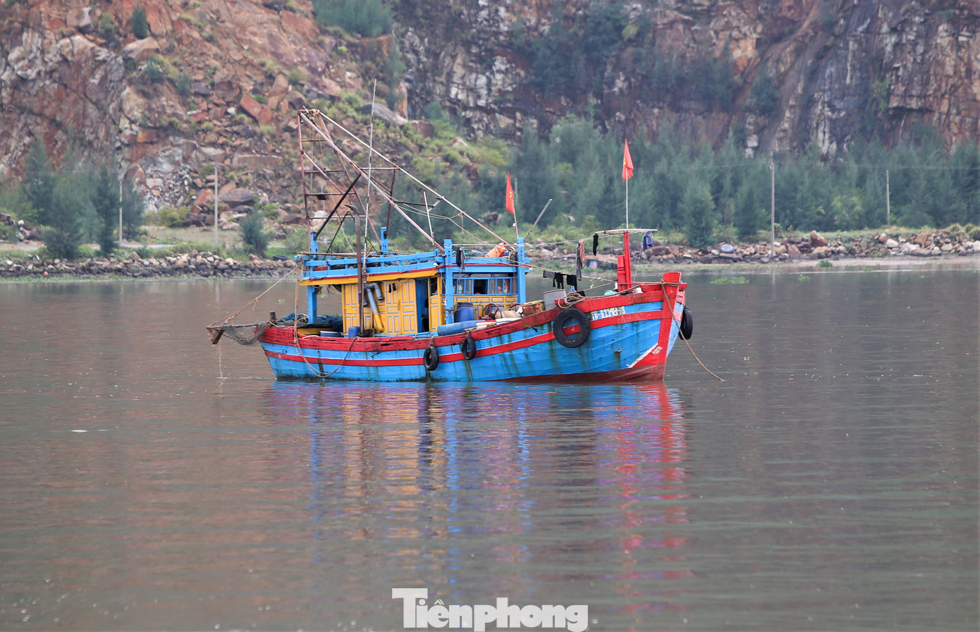 Tàu cá bắt đầu vươn khơi thu “lộc biển”