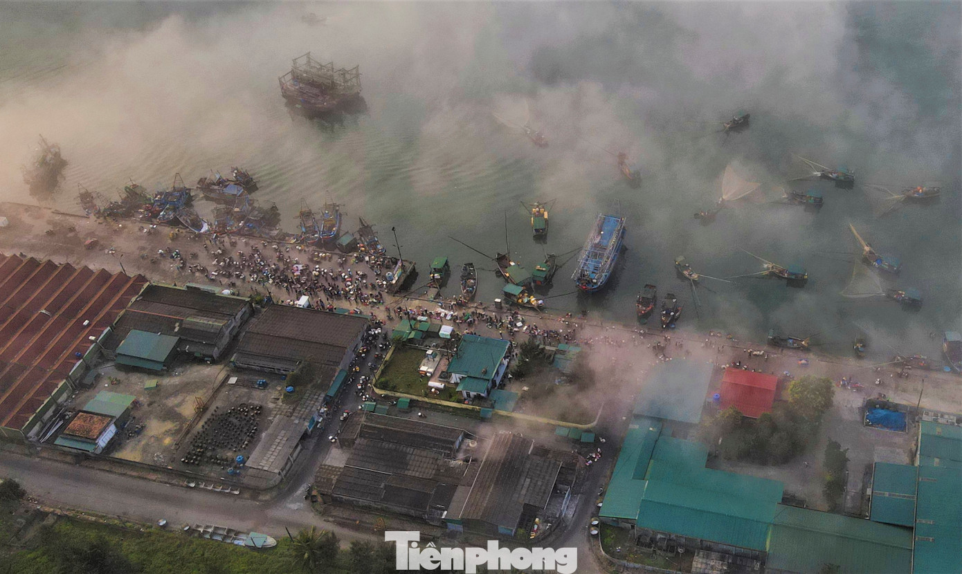 Từ sáng sớm, thuyền đánh bắt gần bờ đã cập cảng mang về đầy cá tôm, ngư dân phải làm việc luôn tay để đưa hải sản lên bờ.