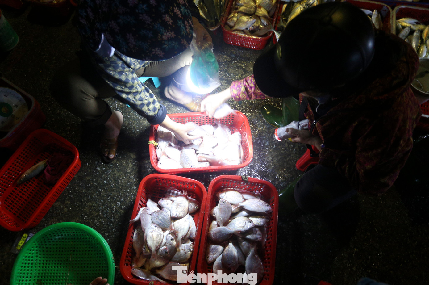Trên bến cảng, không khí làm việc sôi động, nhộn nhịp cũng đang diễn ra với hàng trăm tiểu thương thu mua hải sản và tiếp tế hậu cần phục vụ sản xuất.