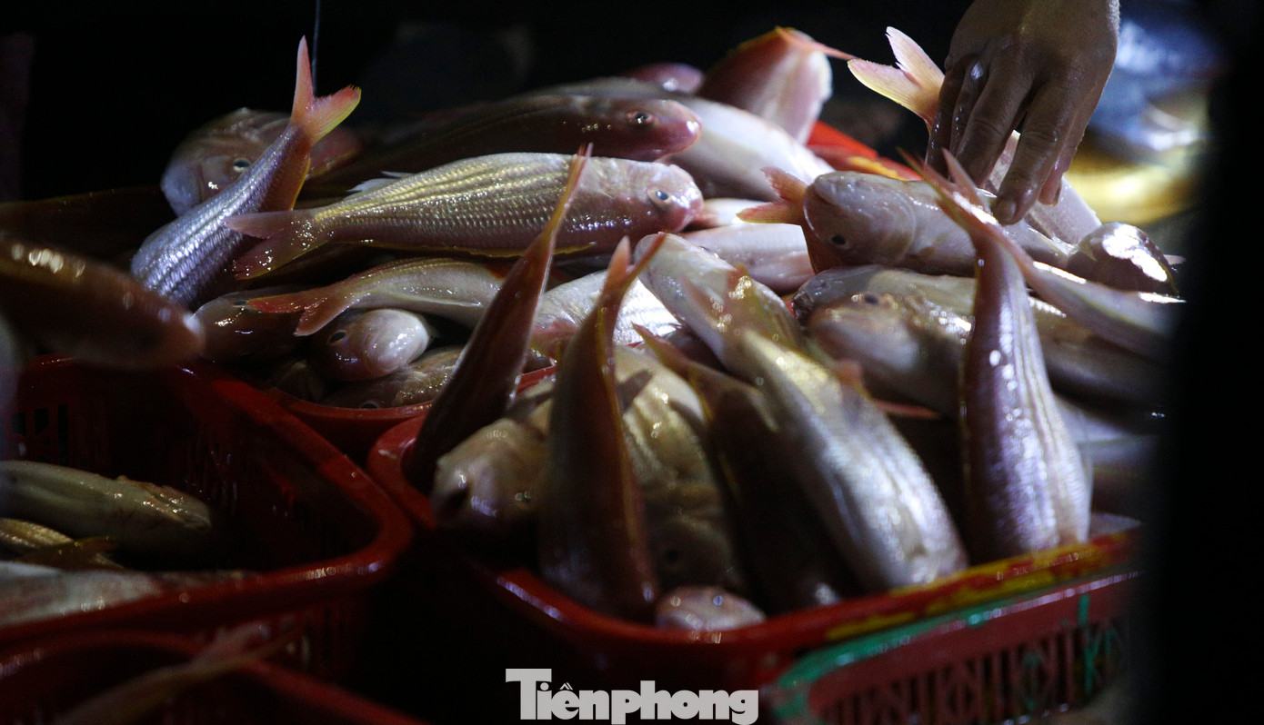 Lãnh đạo Ban Quản lý các Cảng cá Hà Tĩnh cho biết, tất cả các tàu thuyền vào tránh trú mưa bão đều đã xuất bến. Đội tàu đánh bắt ở vùng gần bờ (đi biển 1 - 2 ngày/chuyến) sau khi ra khơi đã mang hàng chục tấn ghẹ, cá, tôm, ốc vào bờ bán cho thương lái.